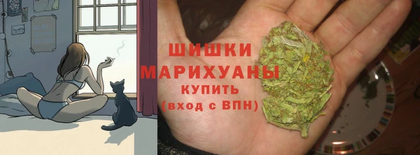 сатива Баксан