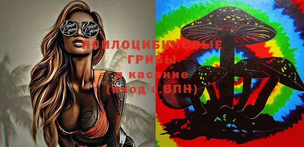 Альфа ПВП Балахна