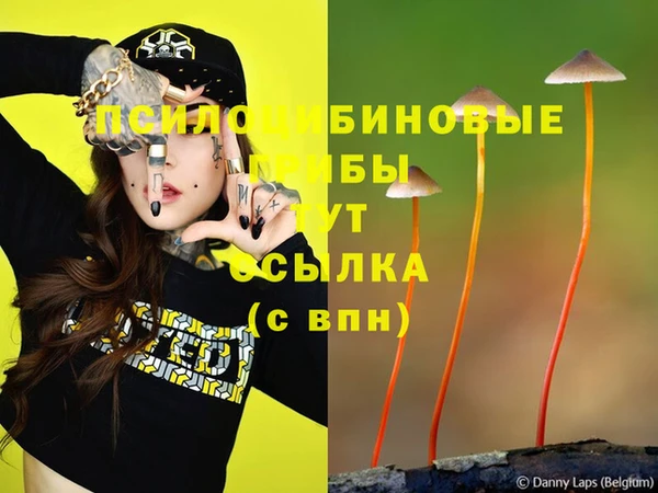 соль ск Балабаново