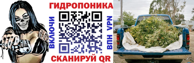 MEGA как зайти  Магас  Бошки марихуана Bruce Banner  где найти наркотики 